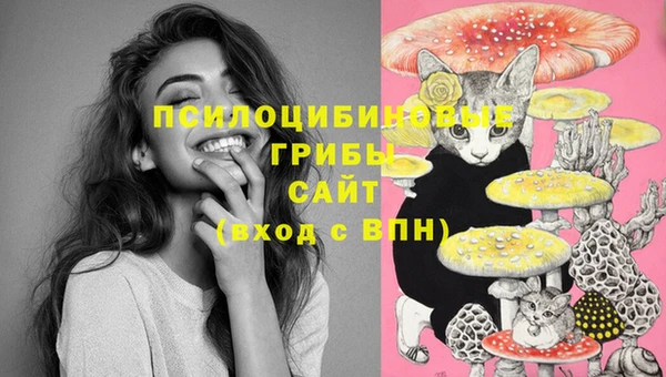 герыч Алексин