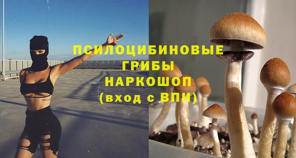 spice Алексеевка