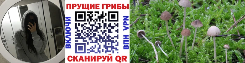 даркнет сайт  Домодедово  Псилоцибиновые грибы Psilocybe 