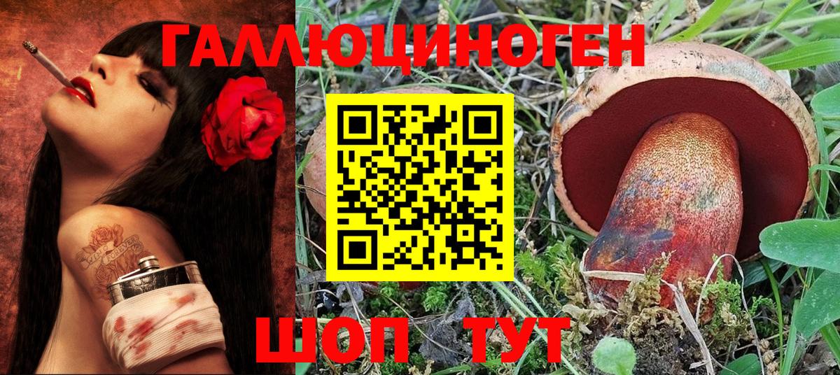 Псилоцибиновые грибы MAGIC MUSHROOMS  Псилоцибиновые грибы прущие грибы  Вход с VPN  Домодедово 